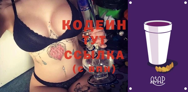 прущий лед Инта