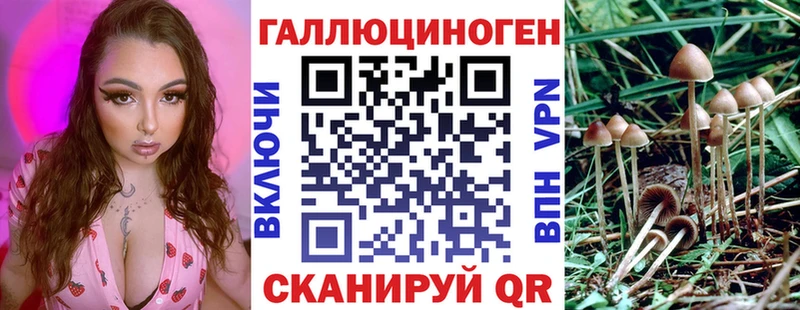 Псилоцибиновые грибы Cubensis  как найти закладки  Октябрьский 