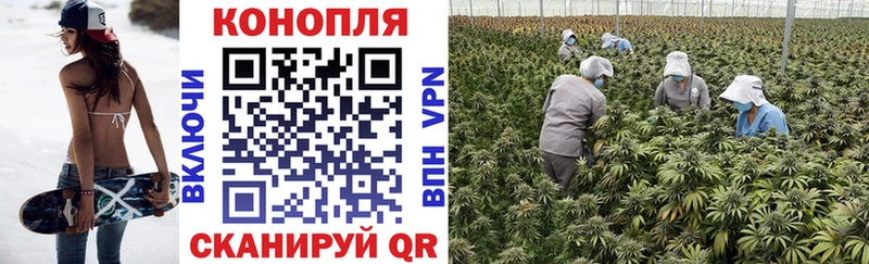 Шишки марихуана тримм Октябрьский